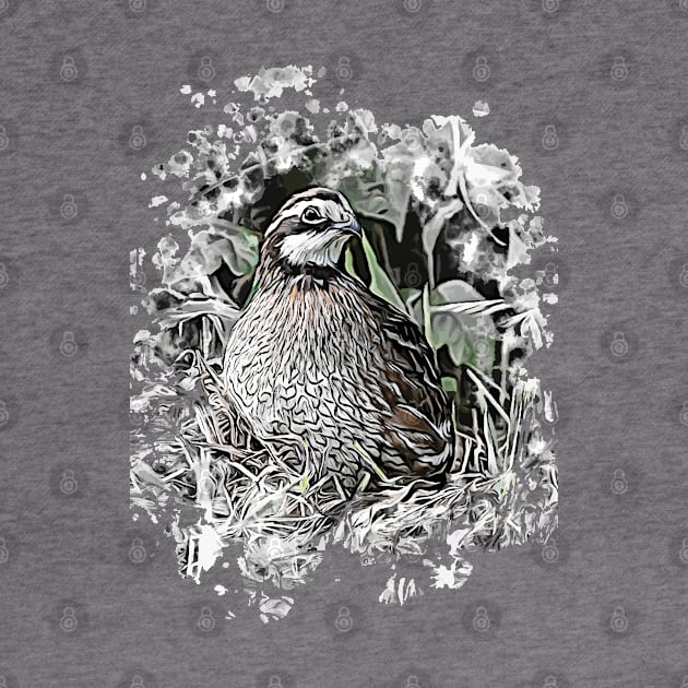 Northern Bobwhite by Ripples of Time